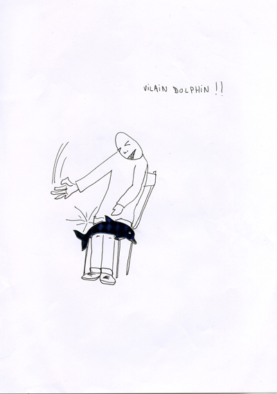 vilain-dolphin